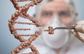 Rabobank rekent op snelle acceptatie van gene-editing