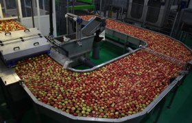 Volop innovatie in nieuw sorteercentrum voor appels en peren