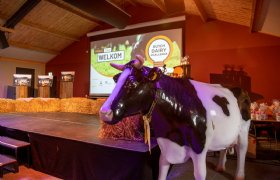 Acht innovaties verder uitgewerkt voor Dutch Dairy Challenge