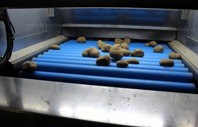 Op de rollenbaan worden de aardappelen voor beoordeling rondom gefotografeerd.