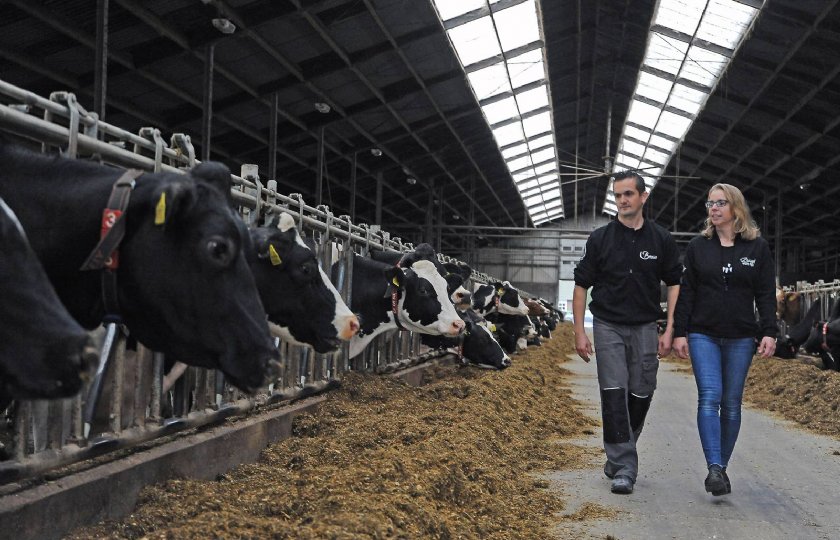 Dutch+Dairy+Challenge+helpt+bij+uitwerken+idee+melkveehouders